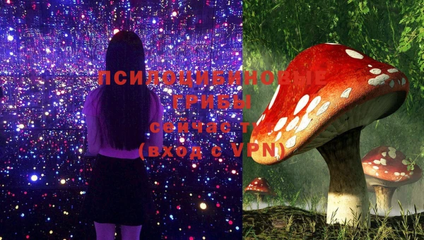 герыч Бронницы