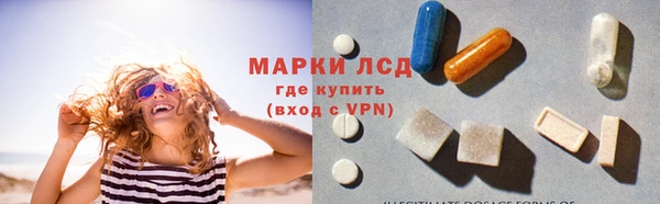 гашик Бородино