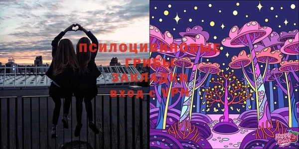 гашик Бородино