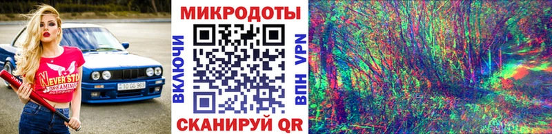 Псилоцибиновые грибы Psilocybine cubensis  Омск 